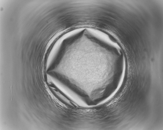 X0000054470949200508270126