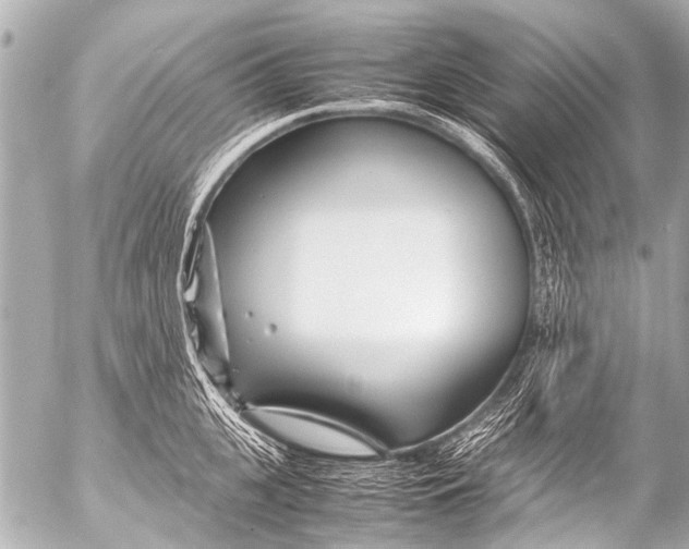 X0000054470951200508270126