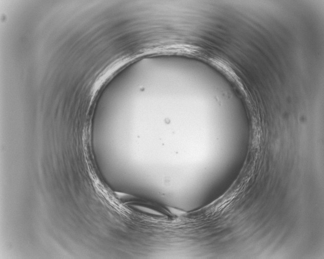 X0000054470952200508270126