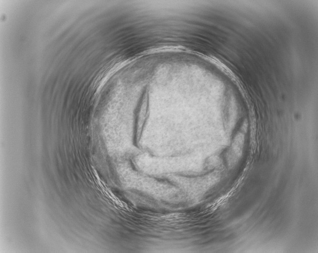 X0000054470953200508270126