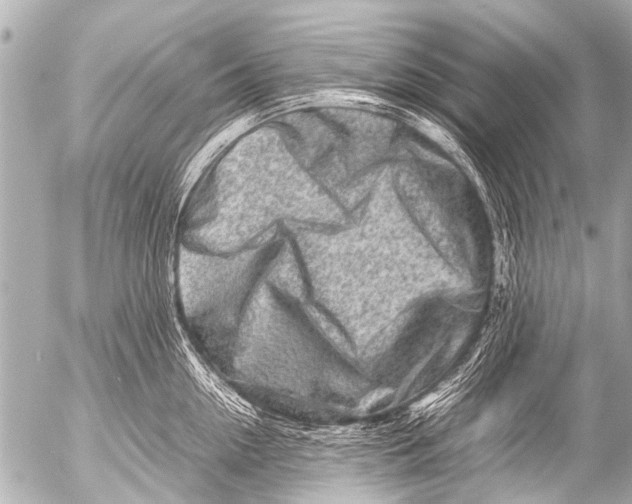 X0000054470954200508270126