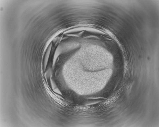 X0000054470955200508270126