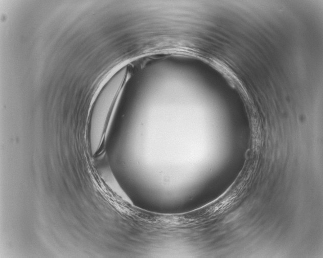 X0000054470956200508270126