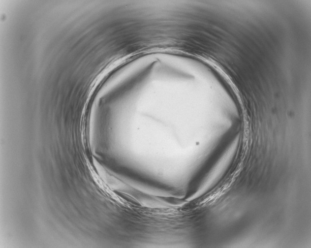 X0000054470957200508270126