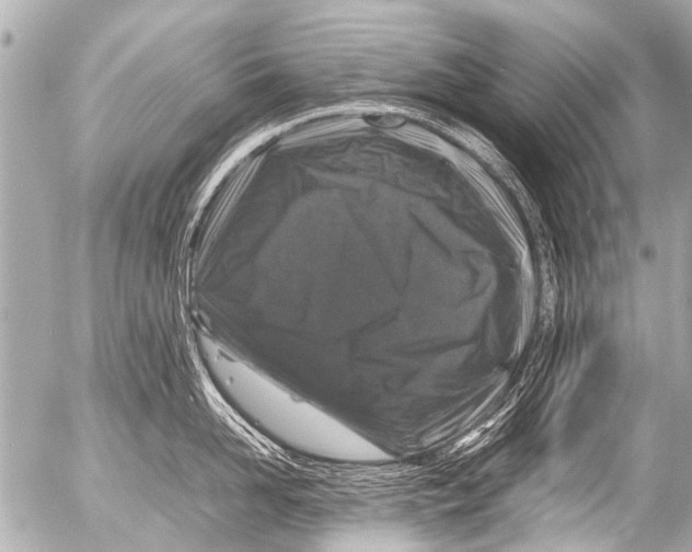 X0000054470958200508270126