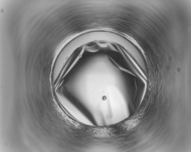 X0000054470959200508270126