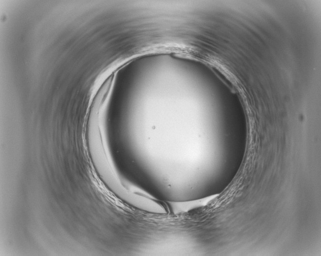 X0000054470960200508270126