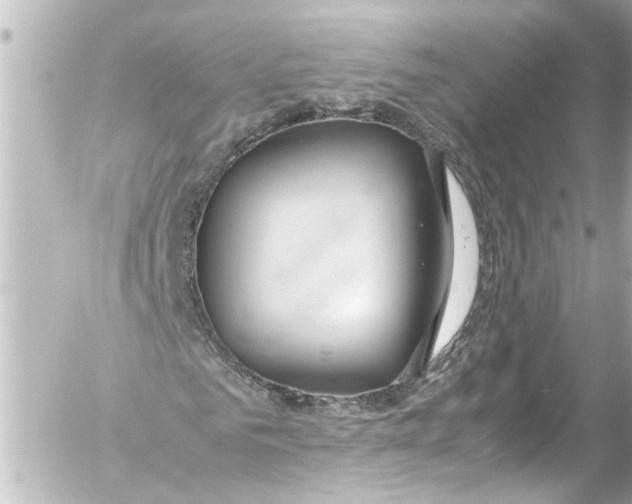 X0000054470961200508270125