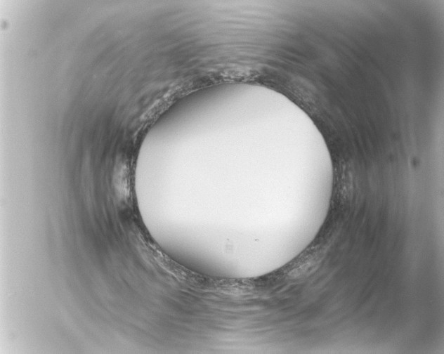 X0000054470962200508270125