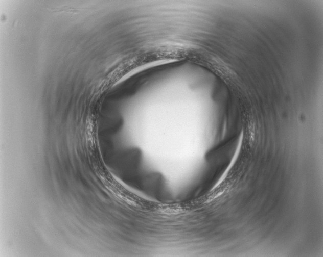 X0000054470964200508270125