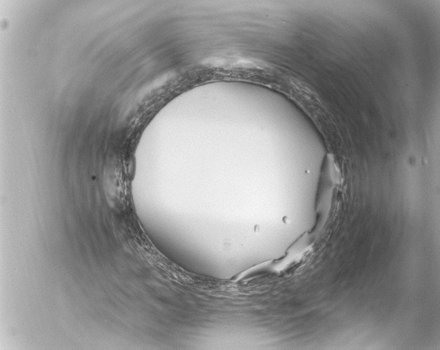 X0000054470966200508270125