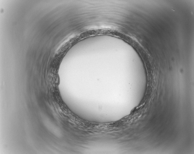 X0000054470967200508270125