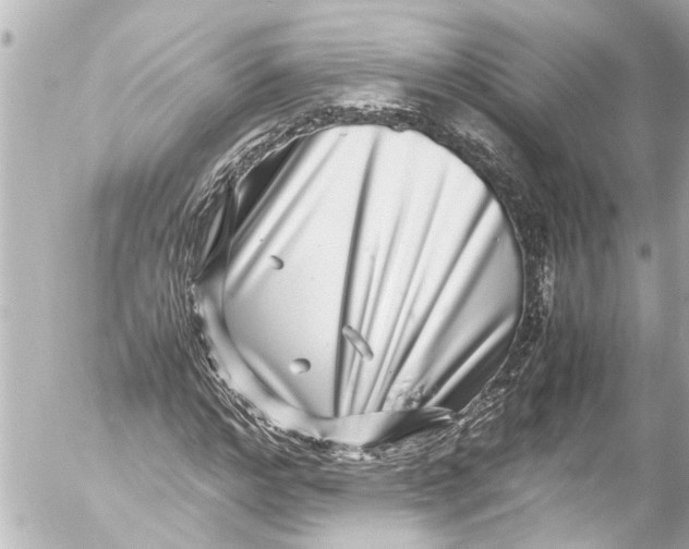 X0000054470968200508270125