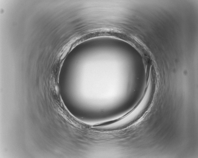 X0000054470969200508270125