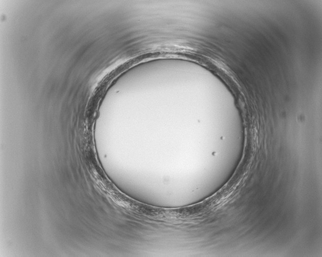 X0000054470971200508270125