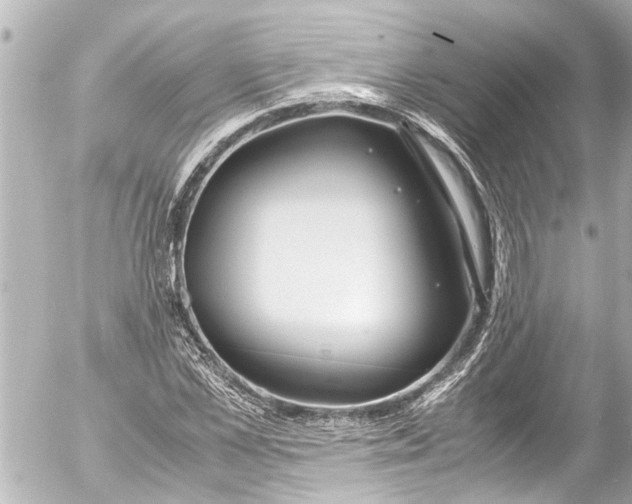 X0000054470973200508270125