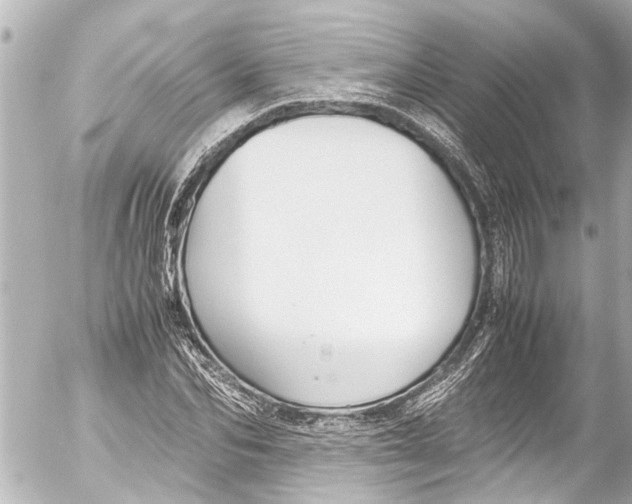 X0000054470974200508270125