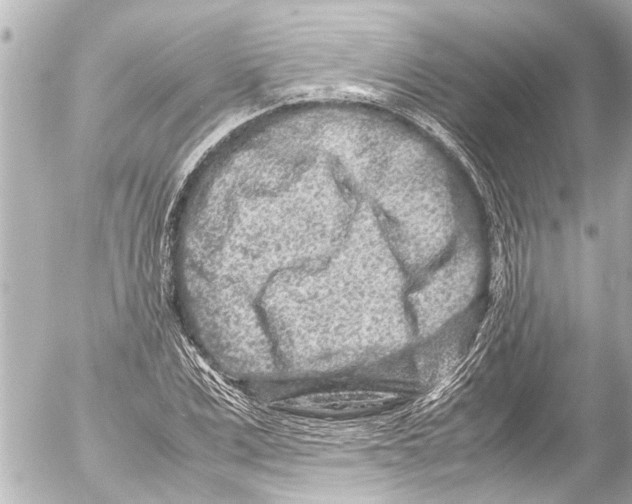 X0000054470975200508270125