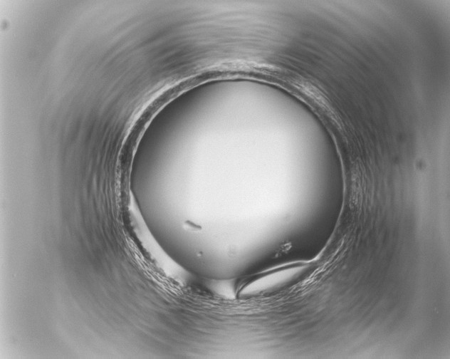 X0000054470976200508270125