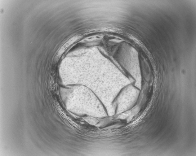 X0000054470977200508270125