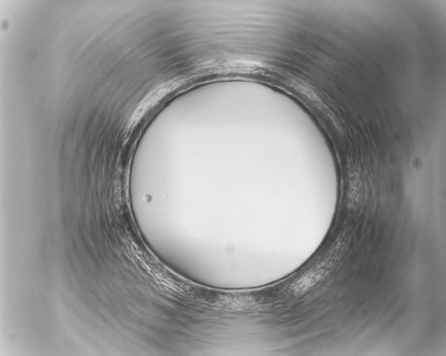 X0000054470978200508270125