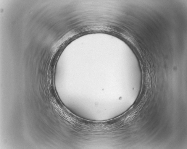 X0000054470979200508270125