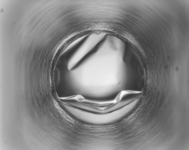 X0000054470980200508270125