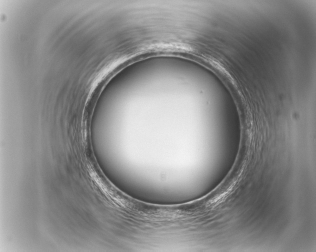 X0000054470981200508270125