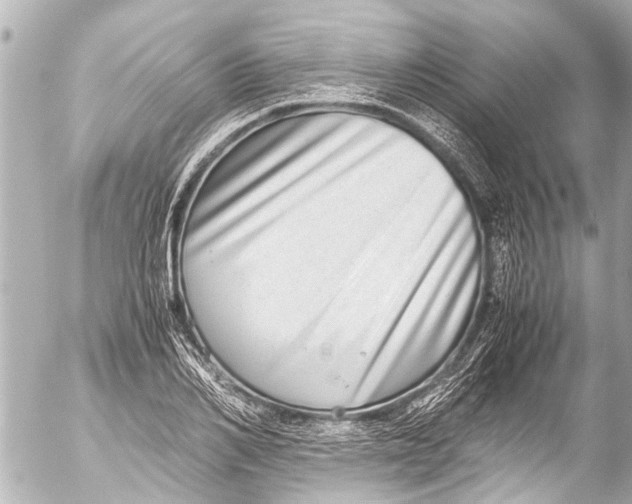 X0000054470982200508270125