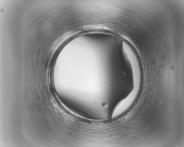 X0000054470983200508270125