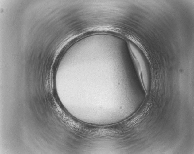 X0000054470984200508270125