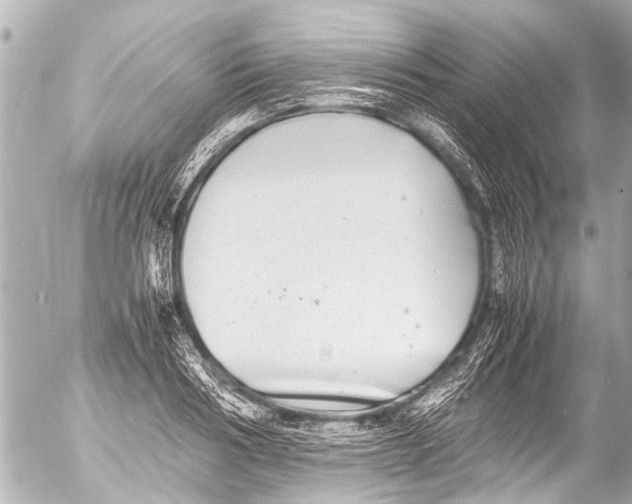 X0000054470986200508270125