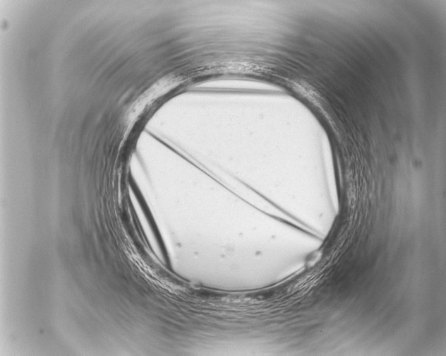 X0000054470987200508270125