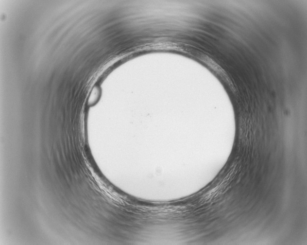 X0000054470988200508270125