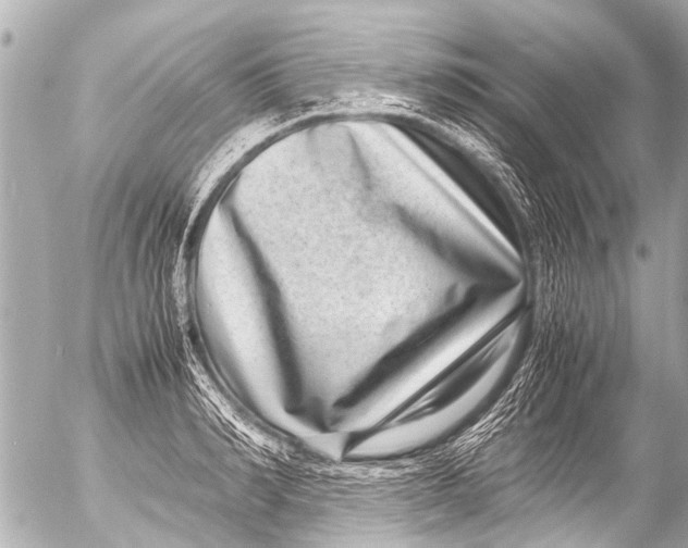 X0000054470990200508270125