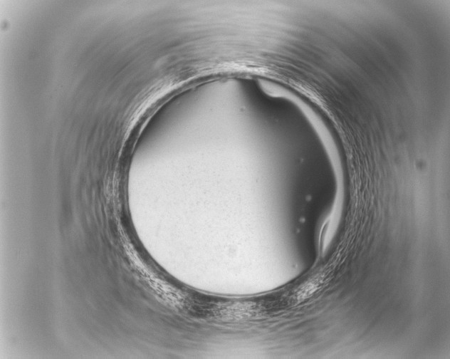 X0000054470991200508270125