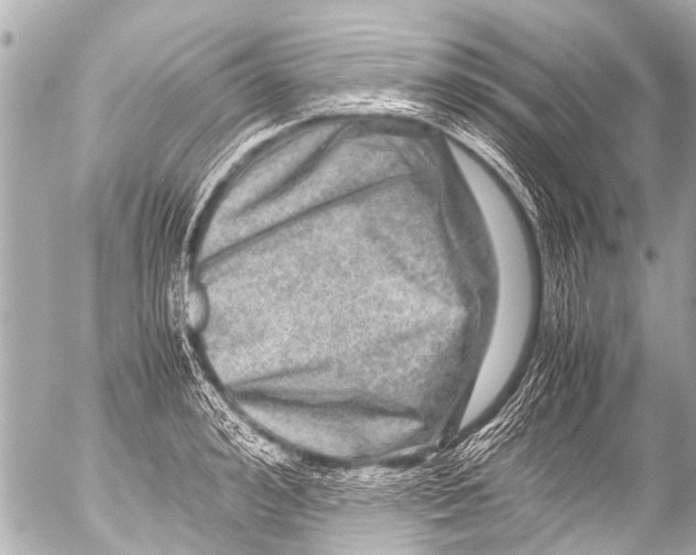 X0000054470992200508270125