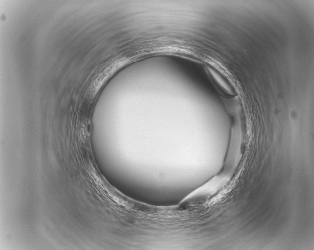 X0000054470993200508270125