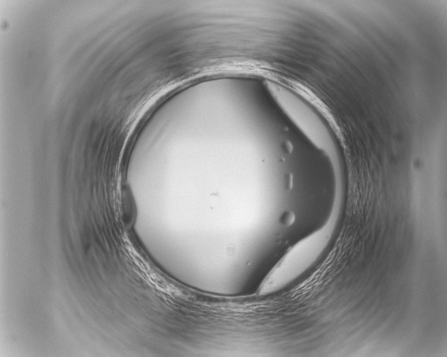 X0000054470996200508270125