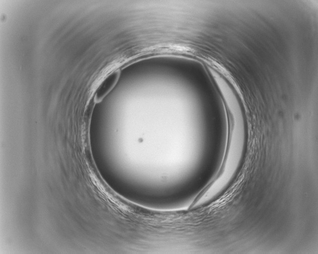 X0000054470997200508270125