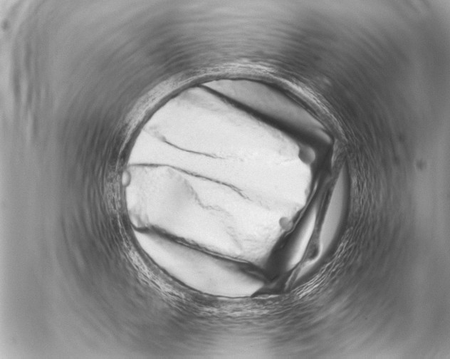 X0000054470998200508270125