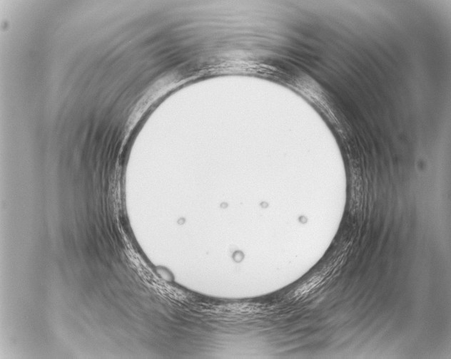 X0000054471000200508270125