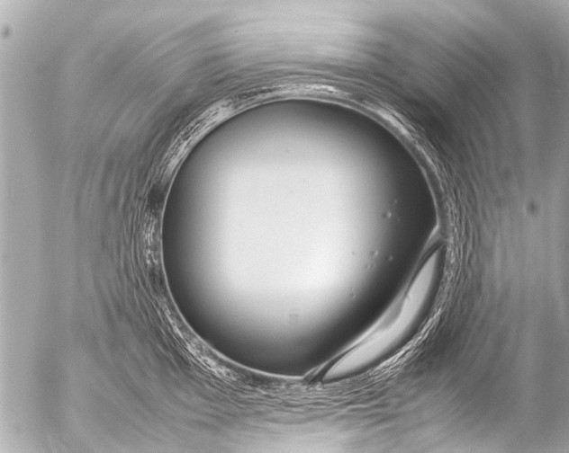 X0000054471001200508270125