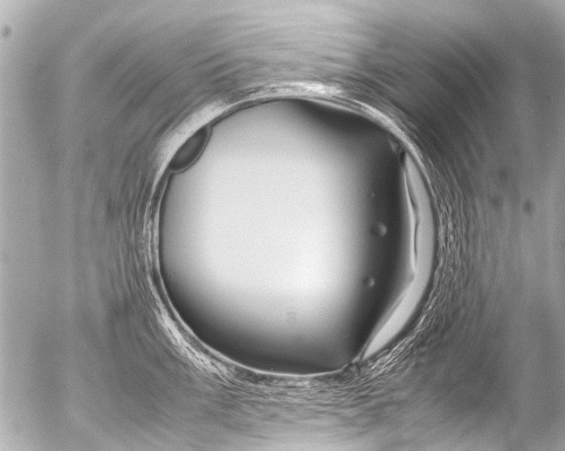 X0000054471003200508270125