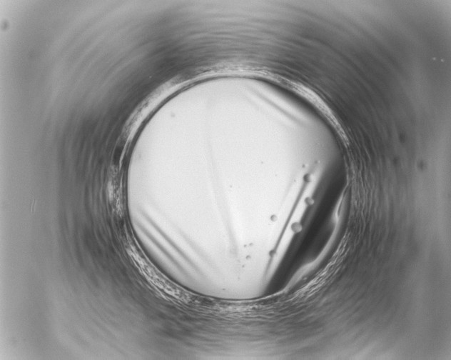 X0000054471004200508270125