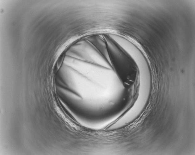 X0000054471005200508270125