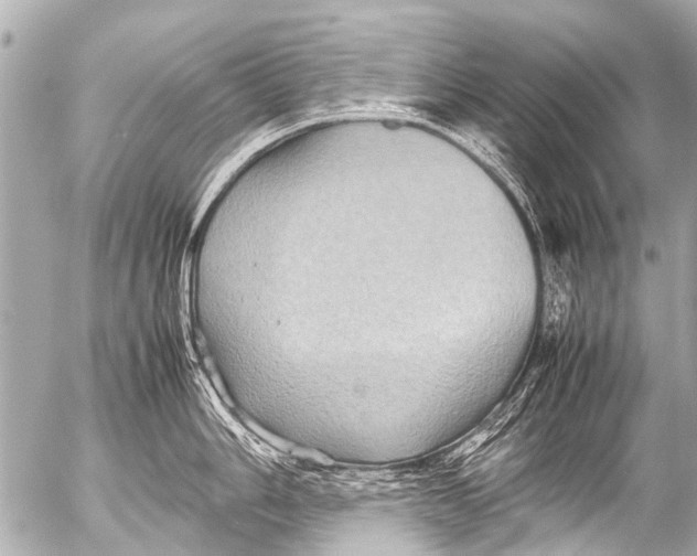 X0000054471006200508270125