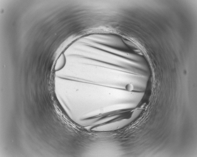 X0000054471008200508270124