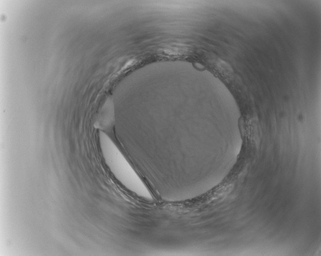 X0000054471009200508270124