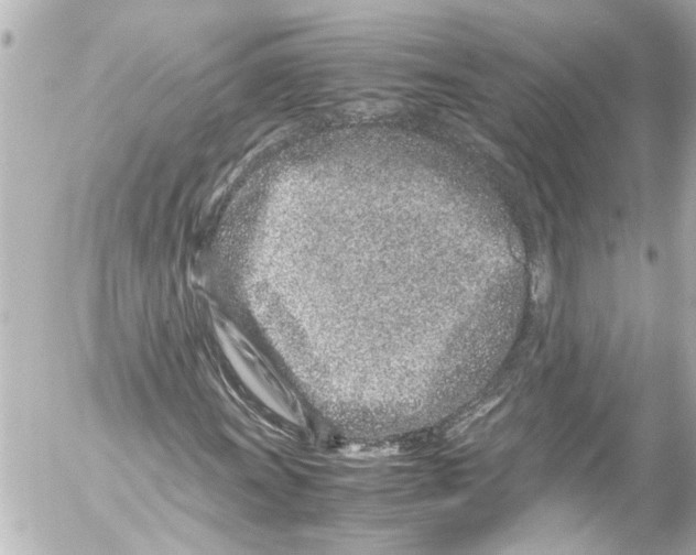 X0000054471011200508270124